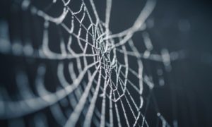 dark web vs deep web