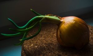 Security Onion set up